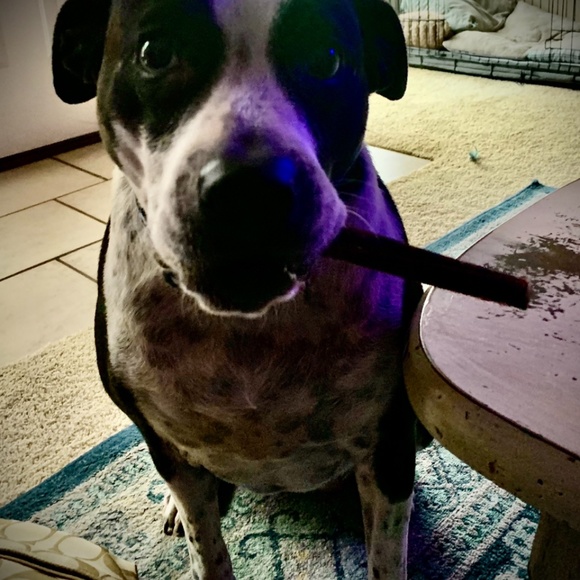 Meet your Posher, Tracey - Picture 9 of 13